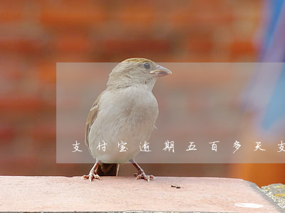支付宝逾期五百多天（支付宝五百块钱逾期）