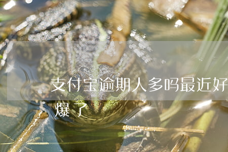 支付宝逾期人多吗(最近好多人支付宝逾期被爆了)