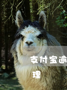支付宝逾期什么法律文件(支付宝逾期如何处理)