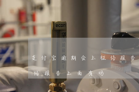 支付宝逾期会上征信报告吗(支付宝逾期打征信报告上面有吗)