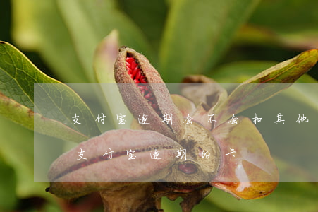 支付宝逾期会不会扣其他名下的卡（可以抵扣支付宝逾期的卡）
