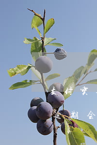 支付宝逾期会不会扣绑定的信用卡-支付宝逾期会不会扣绑定的信用卡的钱