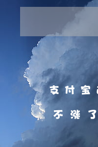 支付宝逾期会不会降分-支付宝逾期后分数不涨了