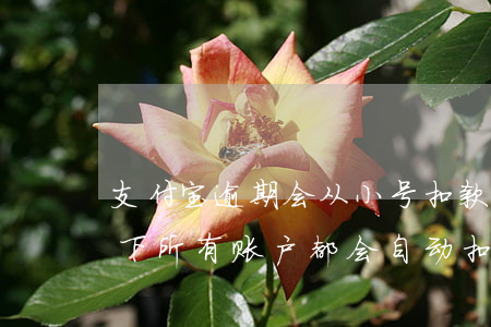 支付宝逾期会从小号扣款吗(支付宝逾期了名下所有账户都会自动扣款吗)