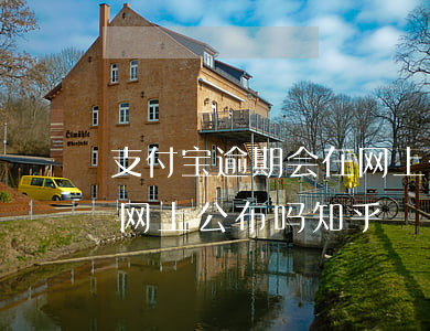 支付宝逾期会在网上公布吗(支付宝逾期会在网上公布吗知乎)