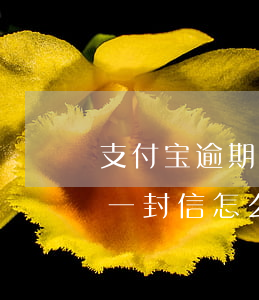支付宝逾期会寄信给家里吗(支付宝逾期邮寄一封信怎么办)