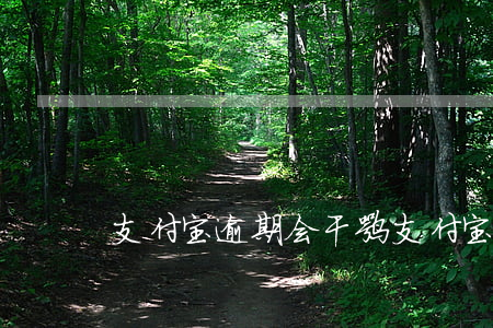 支付宝逾期会干嘛 支付宝逾期了会