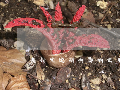 支付宝逾期会影响使用及安全性？全网热议！
