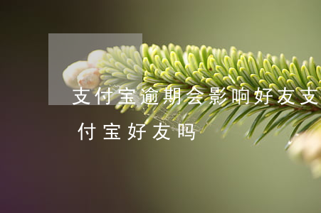 支付宝逾期会影响好友(支付宝逾期会骚扰支付宝好友吗)