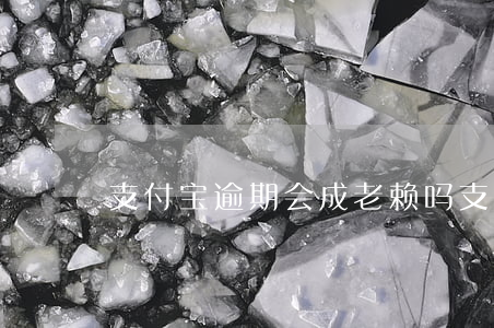 支付宝逾期会成老赖吗(支付宝欠款逾期一年)
