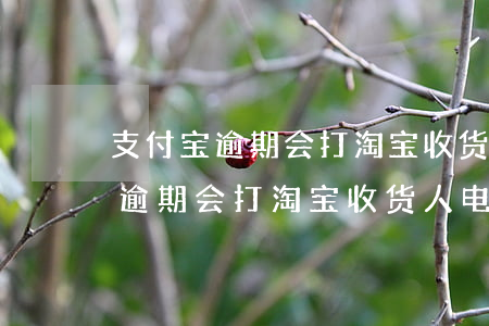 支付宝逾期会打淘宝收货人电话吗-支付宝逾期会打淘宝收货人电话吗是真的吗