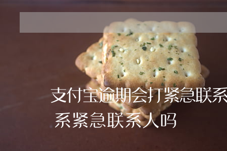 支付宝逾期会打紧急联系人(支付宝逾期会联系紧急联系人吗)