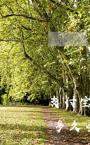 支付宝逾期会收到律师函(支付宝发了律师函多久会起诉)
