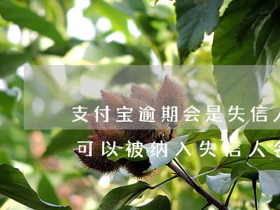 支付宝逾期会是失信人员吗 支付宝逾期多久可以被纳入失信人名单
