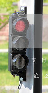 支付宝逾期会有什么后果（支付宝逾期会有案底么）