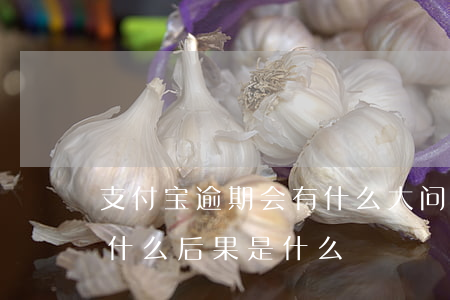 支付宝逾期会有什么大问题嘛?（支付宝逾期我什么后果是什么）