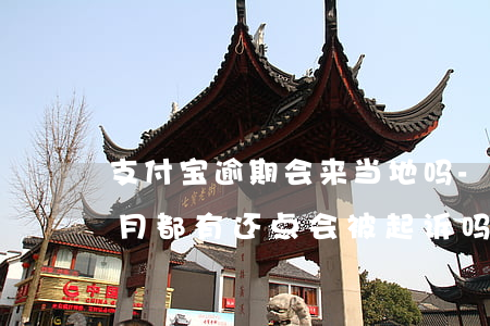 支付宝逾期会来当地吗-支付宝逾期了每个月都有还点会被起诉吗