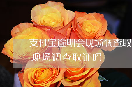 支付宝逾期会现场调查取证吗(支付宝逾期会现场调查取证吗)