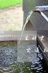 支付宝逾期会短信通知起诉吗(支付宝逾期诉前通知短信)
