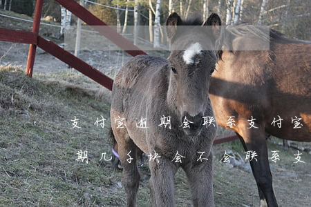 支付宝逾期会联系支付宝好友吗-支付宝逾期几千块会不会联系支付宝好友
