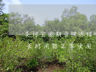 支付宝逾期会被冻结吗(支付宝逾期冻结了,多长时间能正常使用)