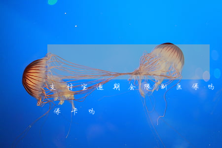 支付宝逾期会限制医保吗(支付宝逾期影响社保卡吗)