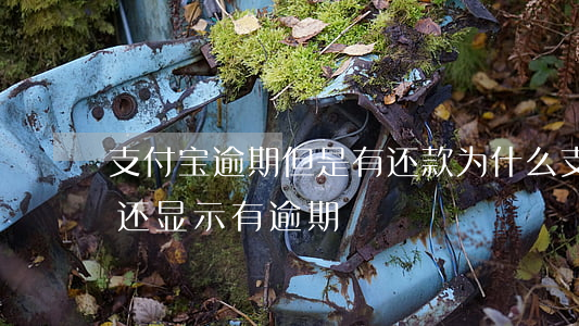 支付宝逾期但是有还款(为什么支付宝还完了还显示有逾期)
