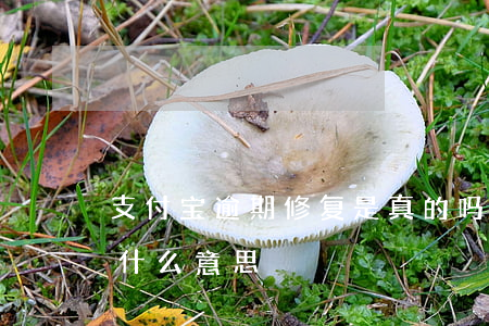支付宝逾期修复是真的吗(支付宝逾期修复是什么意思)