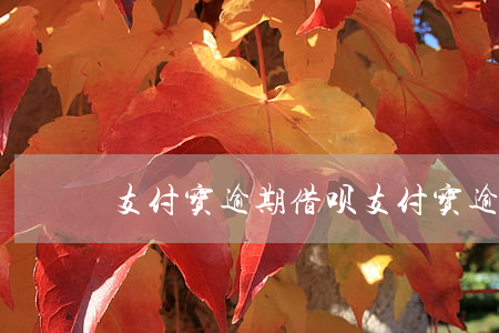 支付宝逾期借呗 支付宝逾期借呗