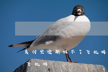 支付宝逾期做不了飞机吗(支付宝逾期做不了飞机吗)