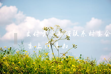 支付宝逾期催联系村委会-支付宝逾期叫村委上门通知