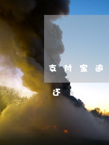 支付宝逾期免息申请书(支付宝花呗逾期免息还款)