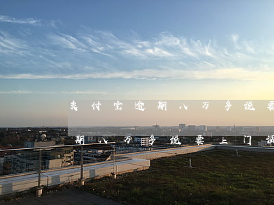 支付宝逾期八万多说要上门调查-支付宝逾期八万多说要上门调查是真的吗
