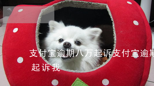 支付宝逾期八万起诉(支付宝逾期12万多要起诉我)