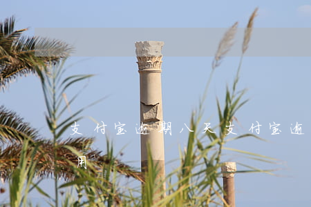 支付宝逾期八天(支付宝逾期八天还款多久能用)