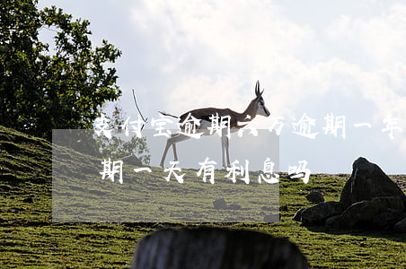 支付宝逾期六万逾期一年利息多少(支付宝逾期一天有利息吗)