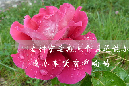 支付宝逾期六个月还能办车贷吗 支付宝逾期过办车贷有影响吗