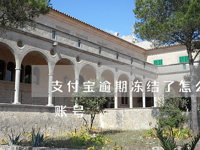 支付宝逾期冻结了怎么还款（逾期冻结支付宝账号）