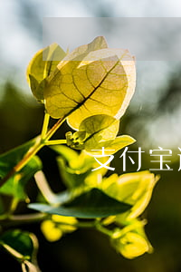 支付宝逾期减免了说还到对公账户