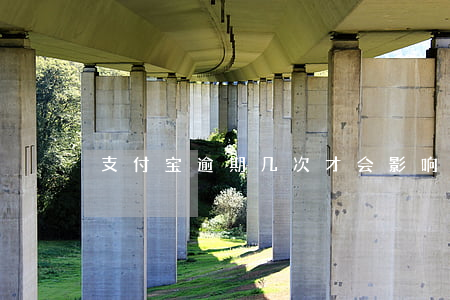 支付宝逾期几次才会影响征信