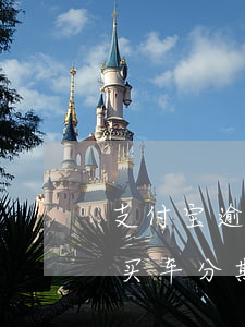 支付宝逾期分期买车(支付宝经常逾期一两天买车分期可以吗)