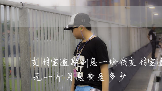 支付宝逾期利息一块钱(支付宝逾期费用一千元一个月息费是多少)