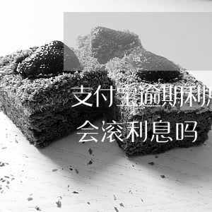 支付宝逾期利息会涨吗(支付宝逾期利息会不会滚利息吗)