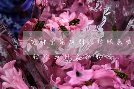 支付宝逾期别人转账来被扣钱了(支付宝别人转账为什么扣我钱)