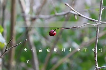 支付宝逾期到本地了(支付宝不知道哪里逾期了)