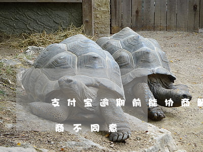 支付宝逾期前能协商解决吗-支付宝逾期协商不同意