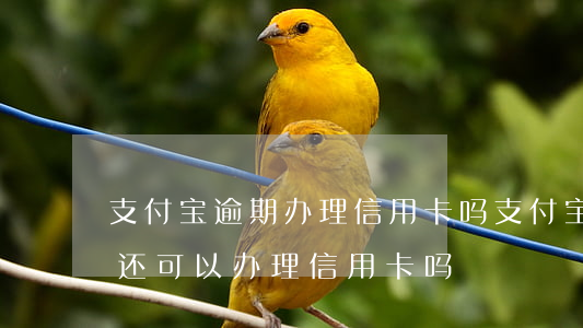 支付宝逾期办理信用卡吗(支付宝花呗逾期了还可以办理信用卡吗?)