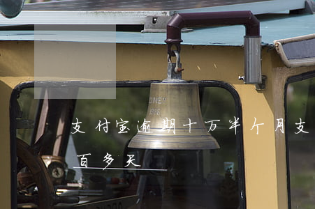 支付宝逾期十万半个月(支付宝10万逾期两百多天)