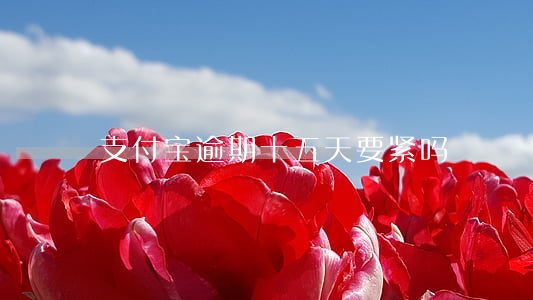支付宝逾期十五天要紧吗