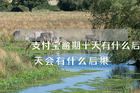 支付宝逾期十天有什么后果(支付宝逾期10天会有什么后果)